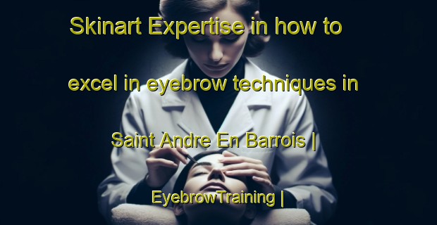 Skinart Expertise in how to excel in eyebrow techniques in Saint Andre En Barrois | EyebrowTraining | EyebrowClasses | SkinartTraining-France